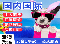 西安国际宠物托运 【国
